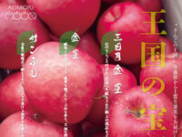 有限会社堀新聞店様のりんご通信販売チラシのアイキャッチ画像です。